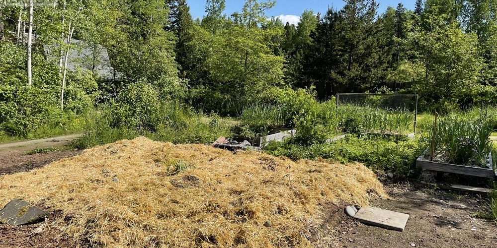 5258 OLD REMO ROAD Terrace Photo 27 5258 OLD REMO ROAD Terrace Photo 27